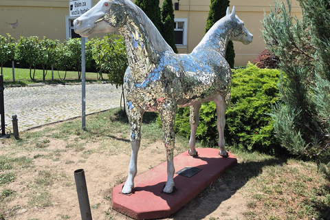 Novi Sad and Sremski Karlovci Wine Tour From Belgrade