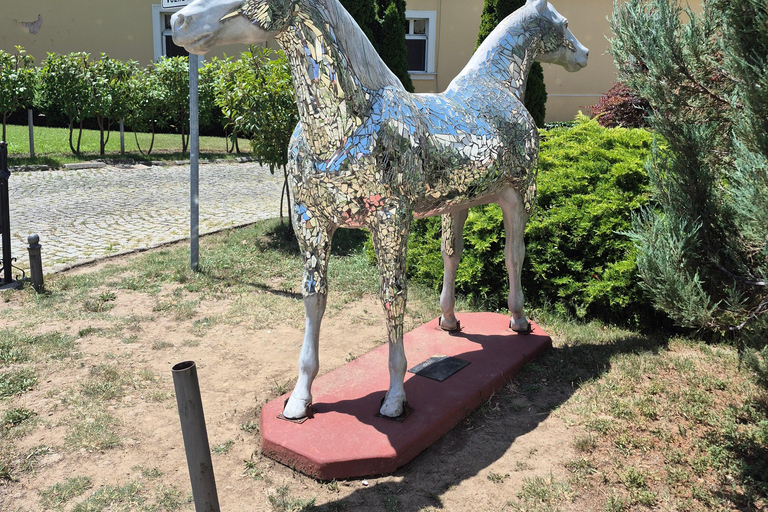 Novi Sad and Sremski Karlovci Wine Tour From Belgrade