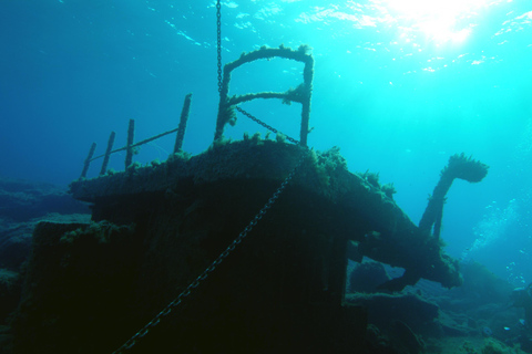 Paphos: de gele boot met glazen bodemPaphos: De boottocht met gele glazen bodem