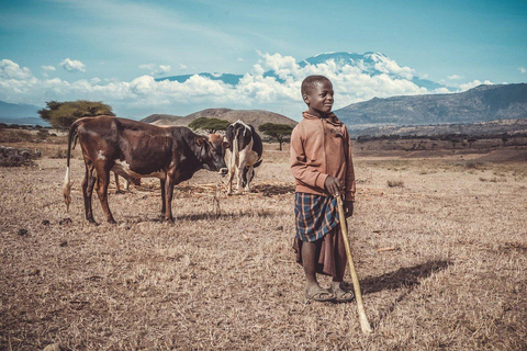 Arusha |Moshi: tour del villaggio Maasai, cascate e caffèArusha: villaggio Masai, cascata Materuni e tour del caffè