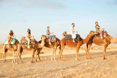 Marrakech: Excursão às montanhas, vales e cachoeiras do Alto AtlasMarrakech: Excursão às montanhas do Alto Atlas, vales e cachoeiras