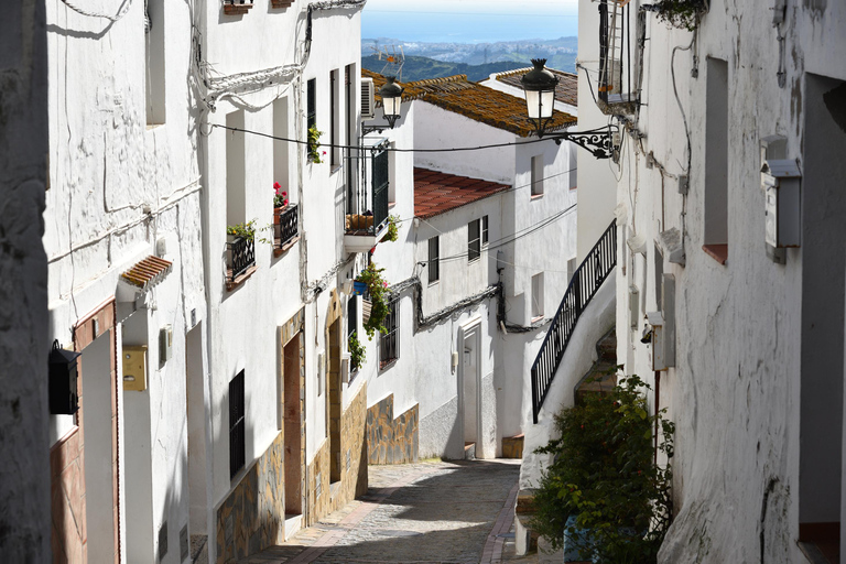 Wioska Casares i tradycyjny rynekCasares i mercadillo típico