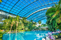 Bucharest, Therme Bucuresti Transfer с дополнительным билетом - Housity