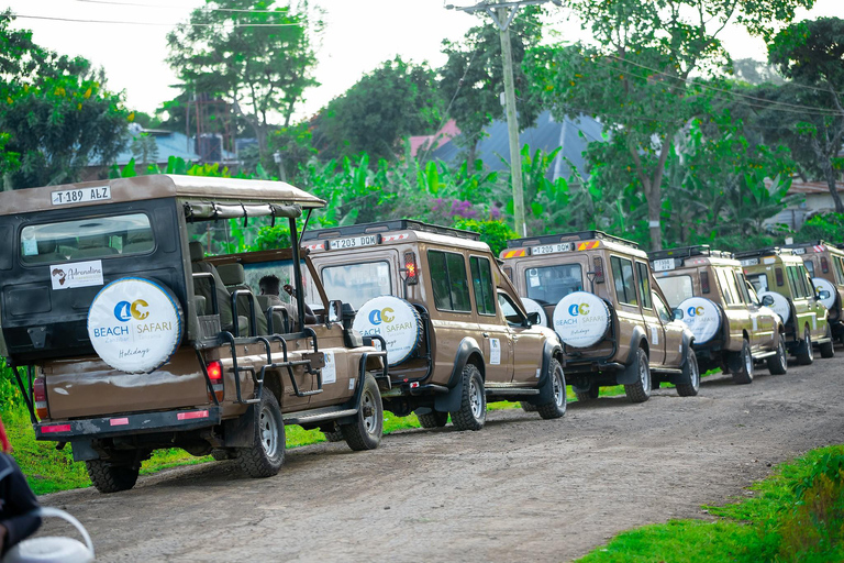 From Zanzibar: Overnight Selous G.R. Safari with Flights shared safari