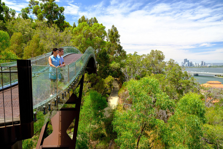 Tour di mezza giornata di Perth e Fremantle