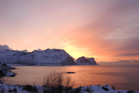 Tromsø: New Year’s Eve Cruise With Fireworks