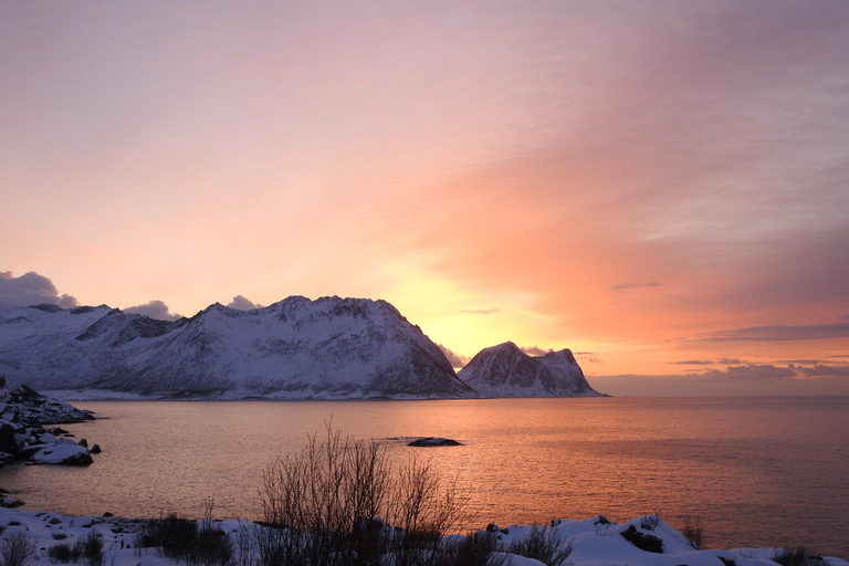 Tromsø: New Year’s Eve Cruise With Fireworks