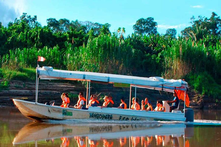 Excursión a Tambopata: Aventura amazónica 3D/2N