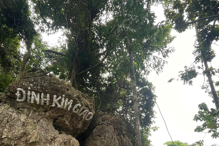 2/3-Day Lan Ha Bay Tulip 5* Cruise Hiking,Biking,Kayaking 3D2N Cruising with Transfer from/to Hanoi or Ninh Binh