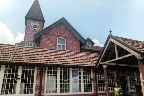 From Kandy: Sigiriya Rock, Dambulla Cave & Safari Day Tour