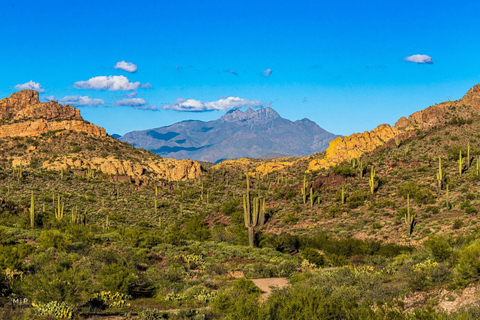 From Scottsdale: Superstition Mountains & Tonto Tour