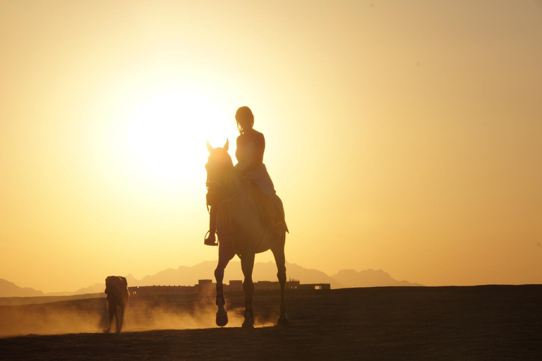 Sea & Desert Horse Riding Tour & Optional Private Photoshoot 2-Hour Horse Ride — Without Transfer (Entry Ticket Only)