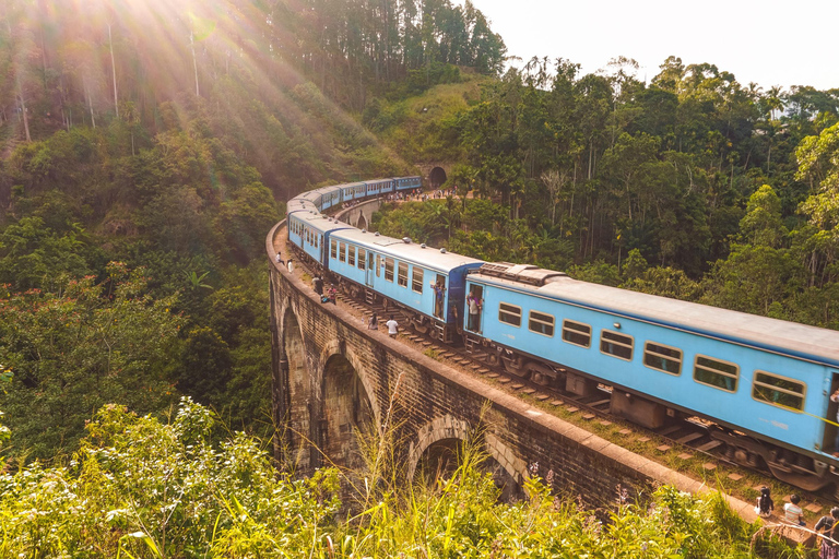 Depuis Colombo : Circuit de 4 jours avec voiture, guide, repas, hôtels