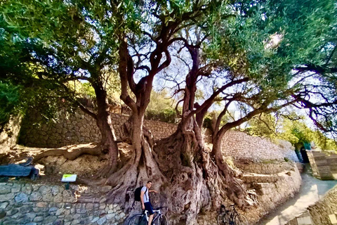 Roquebrune-Village & Grimaldi Castle - Walking Tour