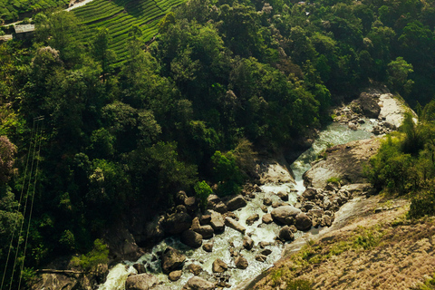 From Kochi: Munnar Hill Station Day Trip