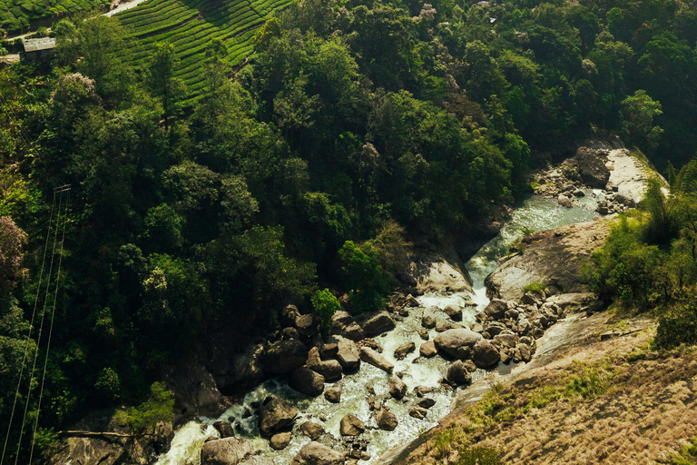 From Kochi: Munnar Hill Station Day Trip