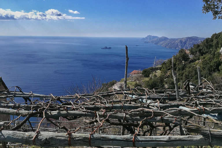 PATH OF THE GODS with NINO Expert local Guide free transport