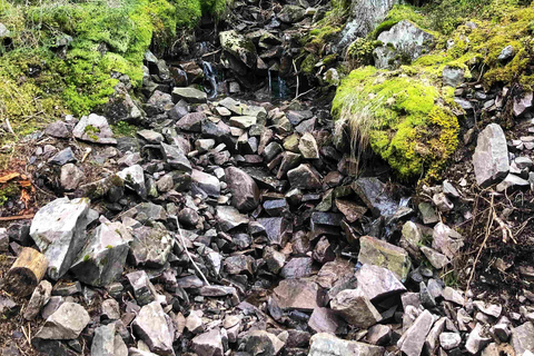 Oslo Forest & Folklore Hike