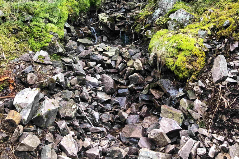 Oslo Forest & Folklore Hike