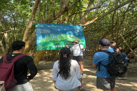 Santa Marta: Tayrona Park Trek to Cabo San Juan