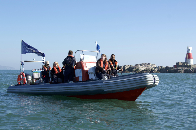 Guided Boat Tour around Dublin Bay