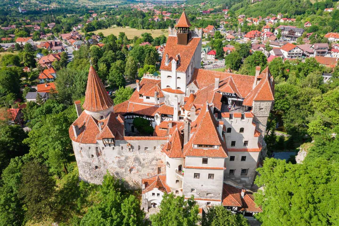 Bucharest : Dracula Castle, Peleș Castle & Brașov Day Trip