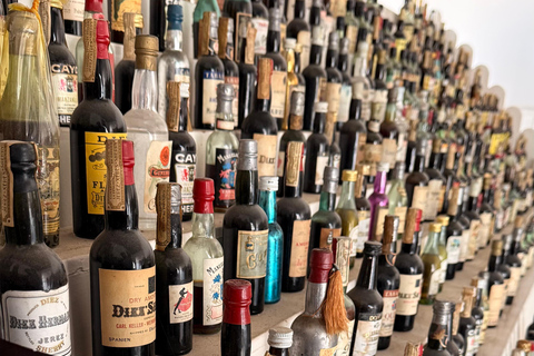 Jerez de la Frontera: Historical Sightseeing Tour, Winery Tour, and Wine Tasting