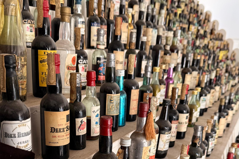 Jerez de la Frontera: Historical Sightseeing Tour, Winery Tour, and Wine Tasting