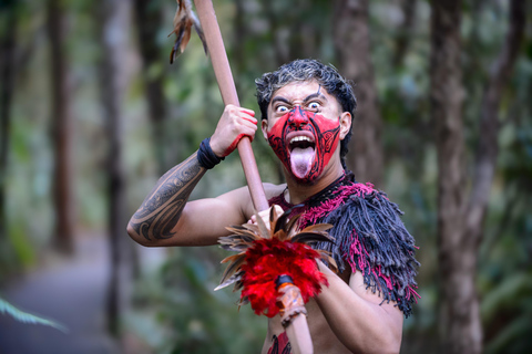 Waitangi: Treaty Grounds Hāngī e Concerto Combo Pass