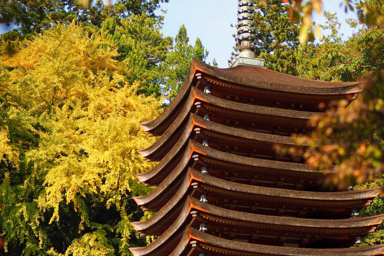 Osaka: Nara, Akame 48 Waterfalls & Tanzan Shrine Tour Shared Tour, Meet at Tsurutontan Soemoncho