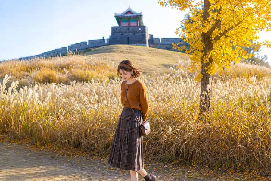 Seoul: Jangtaesan, Starfield Library und Suwon – Tagestour. Foto: GetYourGuide Seoul: Jangtaesan, Starfield Library und Suwon – Tagestour. Foto: GetYourGuide