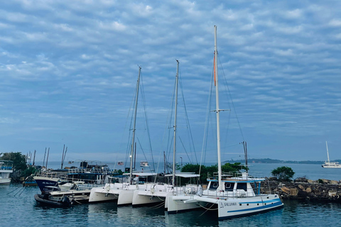 Colombo: Galle, Unawatuna, and Madu River Day Trip