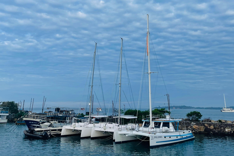 Colombo: Galle, Unawatuna, and Madu River Day Trip