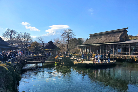 Viaje de 3 días a Tokio, el Monte Fuji y Hakone