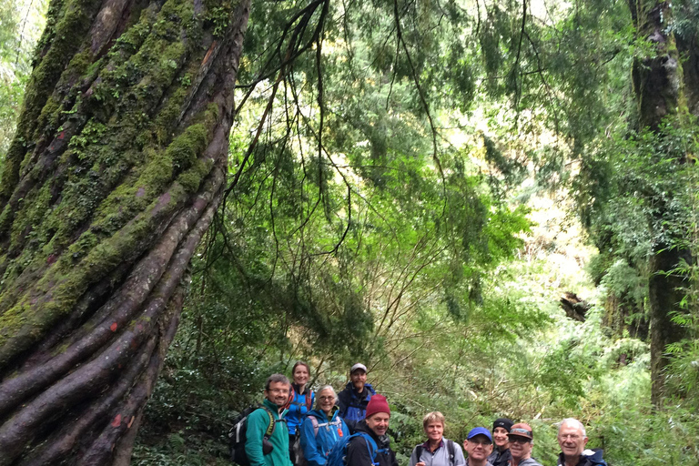 Huerquehue Nationaal Park hele dag