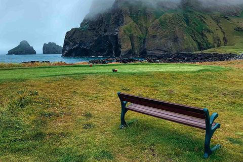 Depuis Reykjavik : Tour des macareux et des volcans dans les îles Westman