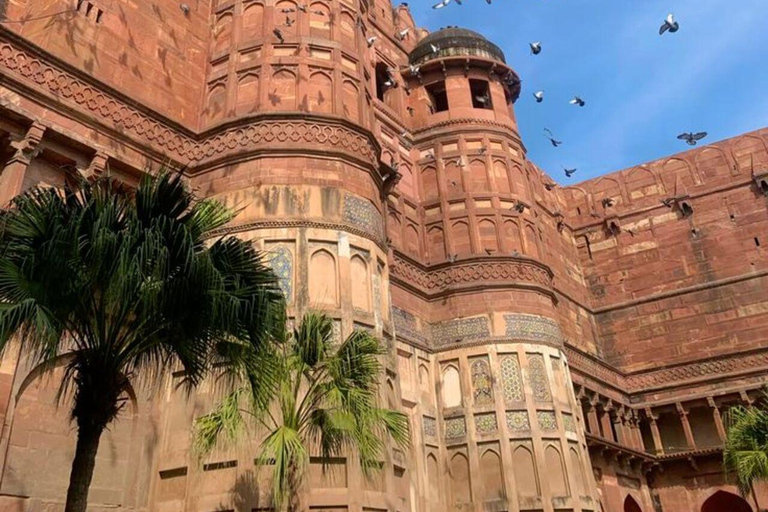 Agra: Taj Mahal & Agra Fort Guided Skip-the-Line Tour Taj Mahal Guided Tour (Tickets Not Included)