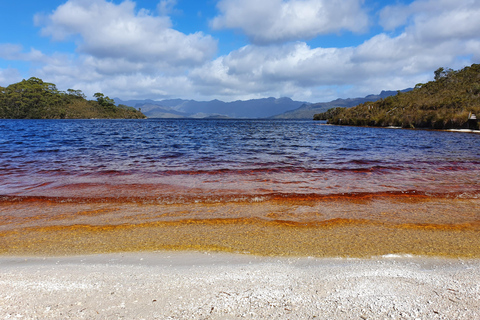 Från Hobart: Gordon Dam och Lake Pedder Wilderness dagsturFrån Hobart: Dagstur till Gordon Dam och Lake Pedder Wilderness