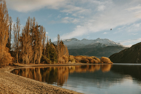 Da Queenstown: tour di 2 giorni a Christchurch via Franz Josef