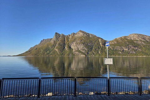Bodø: The Beaches of Kjerringøy