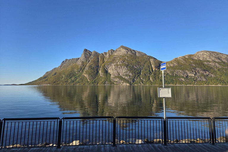 Bodø: The Beaches of Kjerringøy