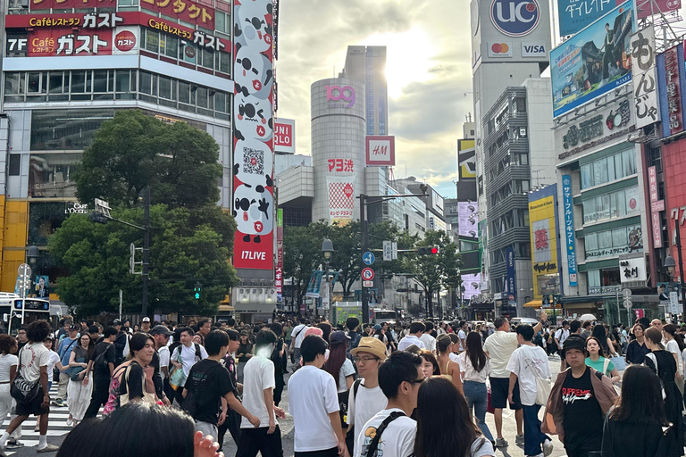 Tokyo: Private Half-Day Tour by Car with Local Guide Premium Van 6 pax