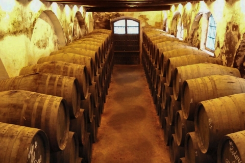 Excursion viticole d'une demi-journée en AndalousieVisite partagée