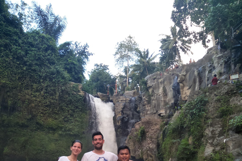 Bali: Djungelvattenfall jagar din dröm privat tur