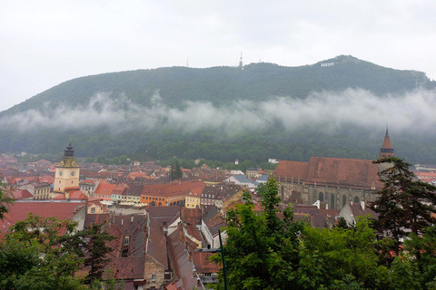 Brașov: Visit a Transylvanian Village Home near Bran Castle From Brașov to a Traditional Village Home in the Bran Area