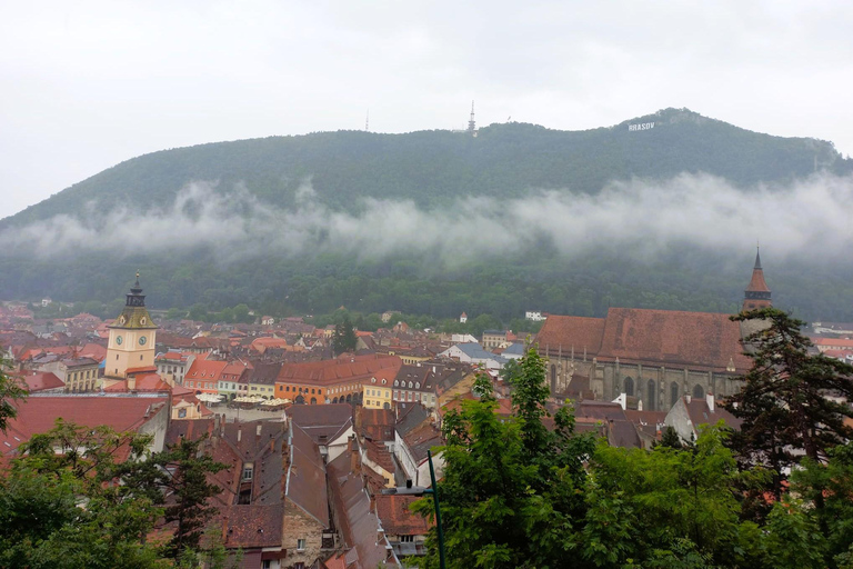 Brașov: Visit a Transylvanian Village Home near Bran Castle From Brașov to a Traditional Village Home in the Bran Area