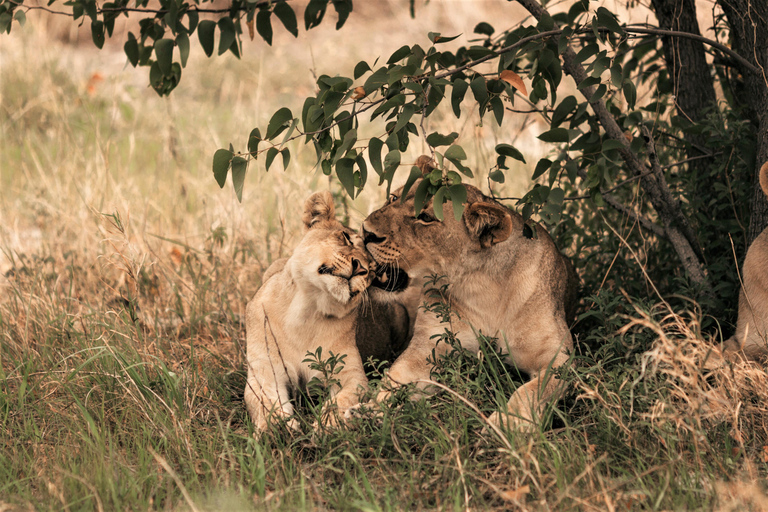 Namibia: 8-tägige Tour