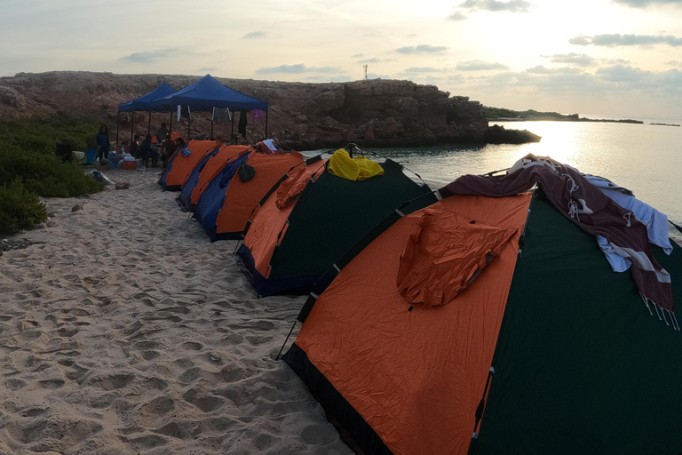 Excursions de plongée avec masque et tuba dans les îles Daymaniyat