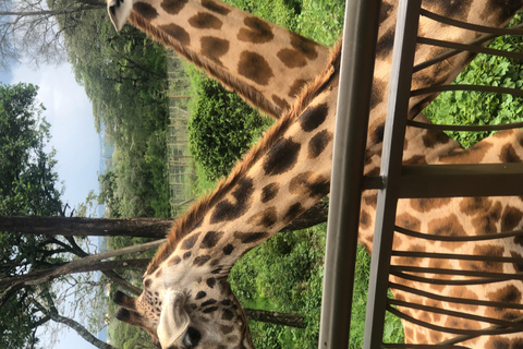 Nairobi-tour naar Nationaal Park, olifanten- en giraffencentrum.