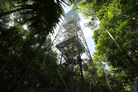 Manaus : Bezoek aan MUSA (Amazone Museum)